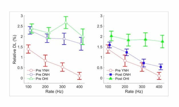 Training the Aging Brain to Understand Rapid Speech