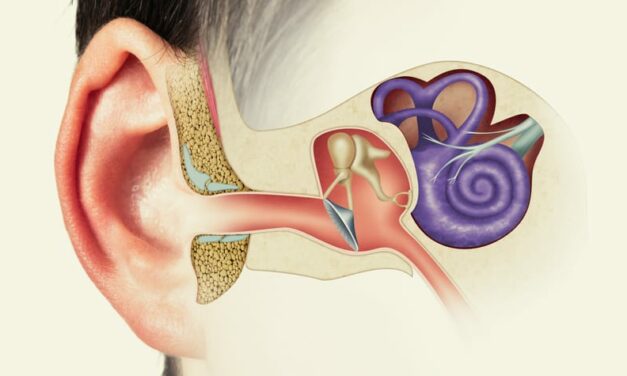 Researchers Uncover New Complexities in Human Hearing