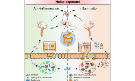 New Method Uses Nanotechnology and Traditional Medicine to Treat Noise-Induced Hearing Loss