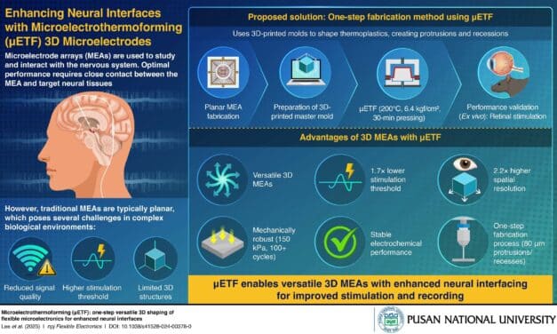 3D Microelectrode Technology Could Improve Cochlear Implants