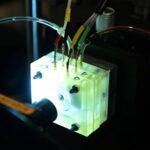 Research Reveals Live Biomechanics of the Mammalian Cochlea