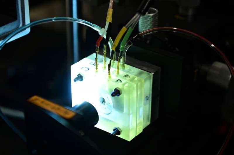 Research Reveals Live Biomechanics of the Mammalian Cochlea