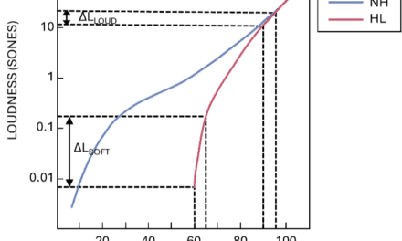 Less Is More – Optimizing the Dynamic Range of Hearing Aid Output