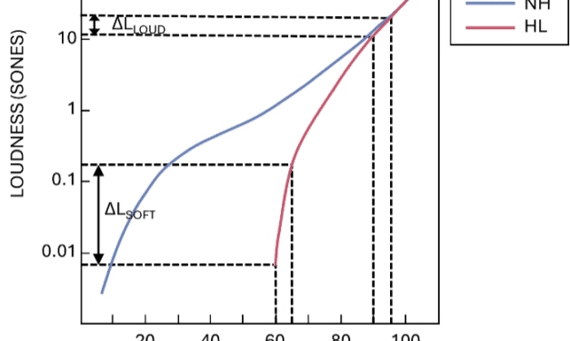 Less Is More – Optimizing the Dynamic Range of Hearing Aid Output