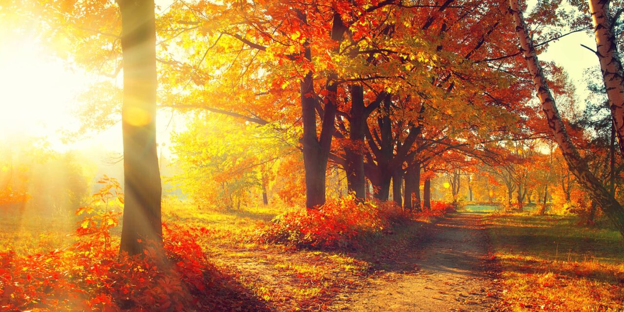 Welcoming a Fall Refresh