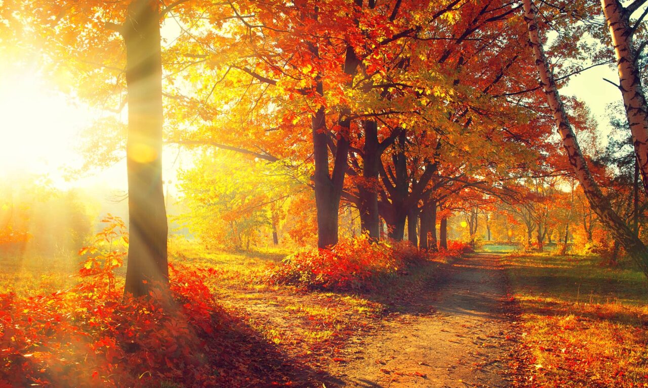 Welcoming a Fall Refresh