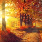 Welcoming a Fall Refresh