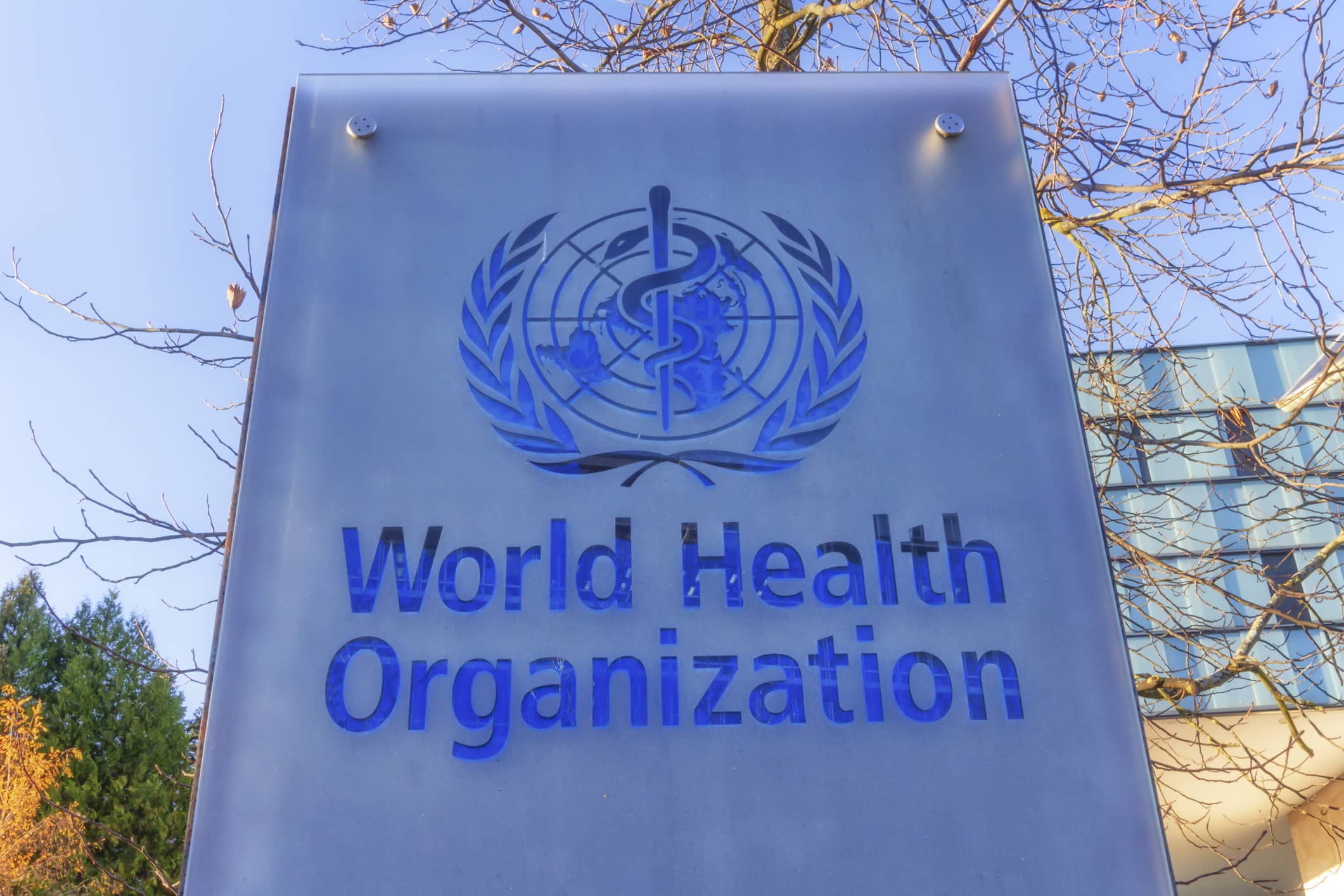 WHO Updates Dementia Prevention Guidelines